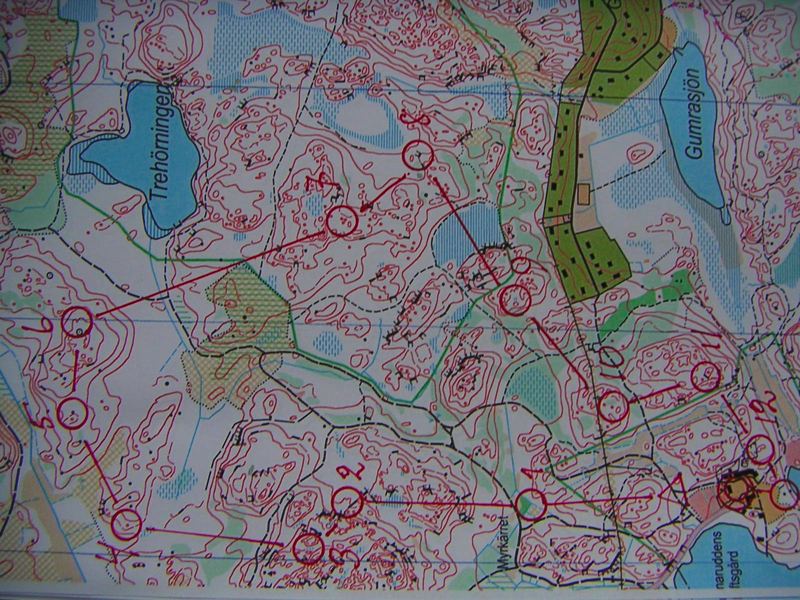 PICT2041.JPG map M