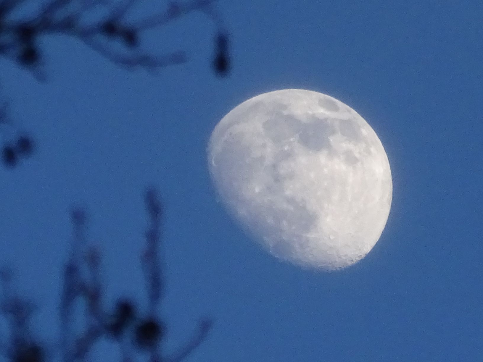 DSC08293kl1921moon*.png