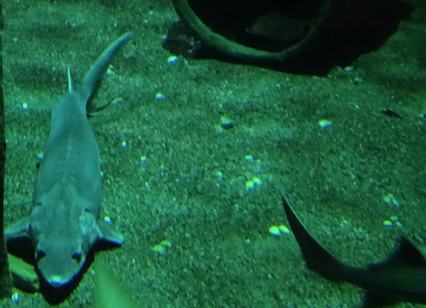 DSC00221kl2028*.png