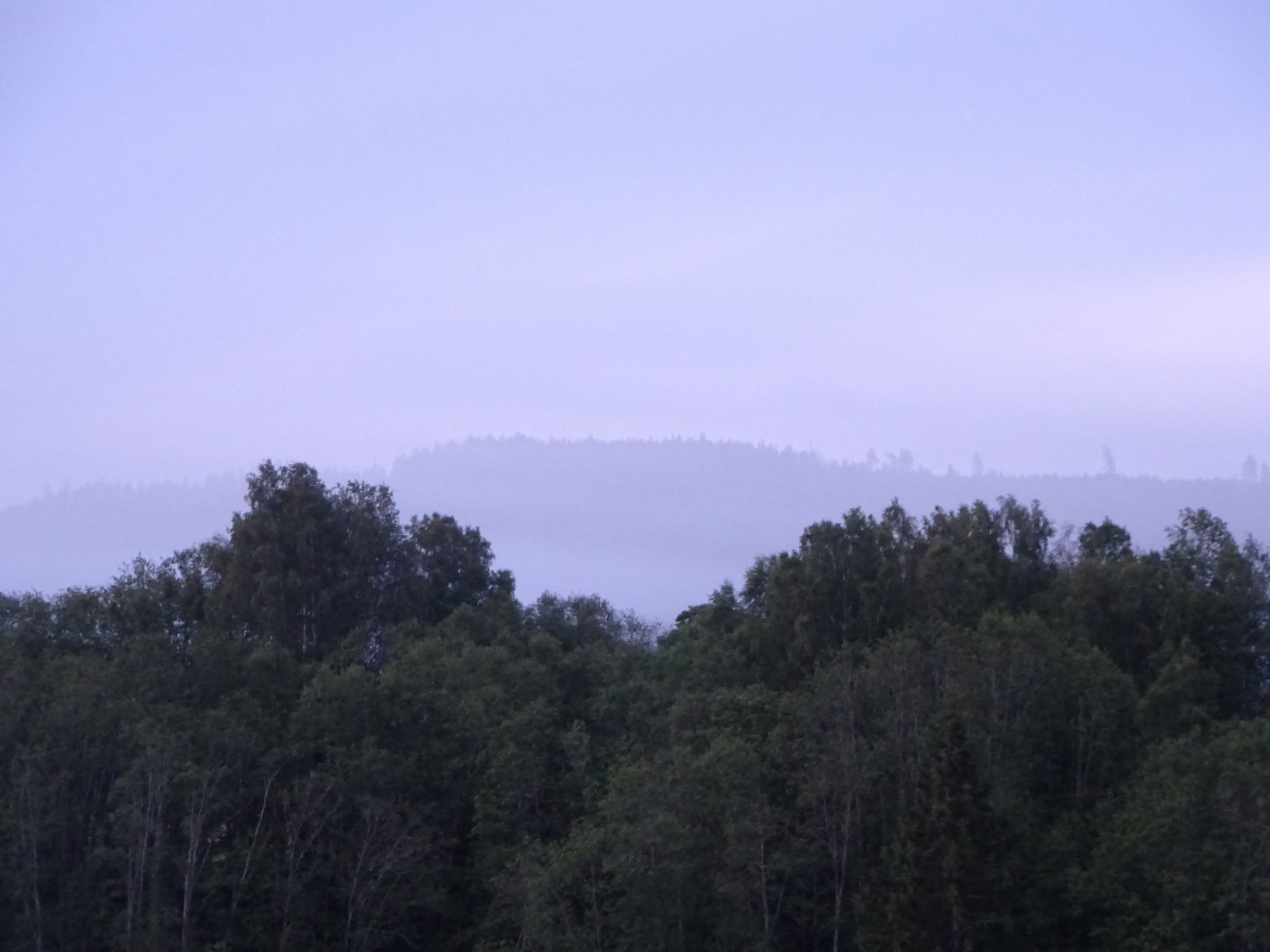 DSC02609kl2721.JPG