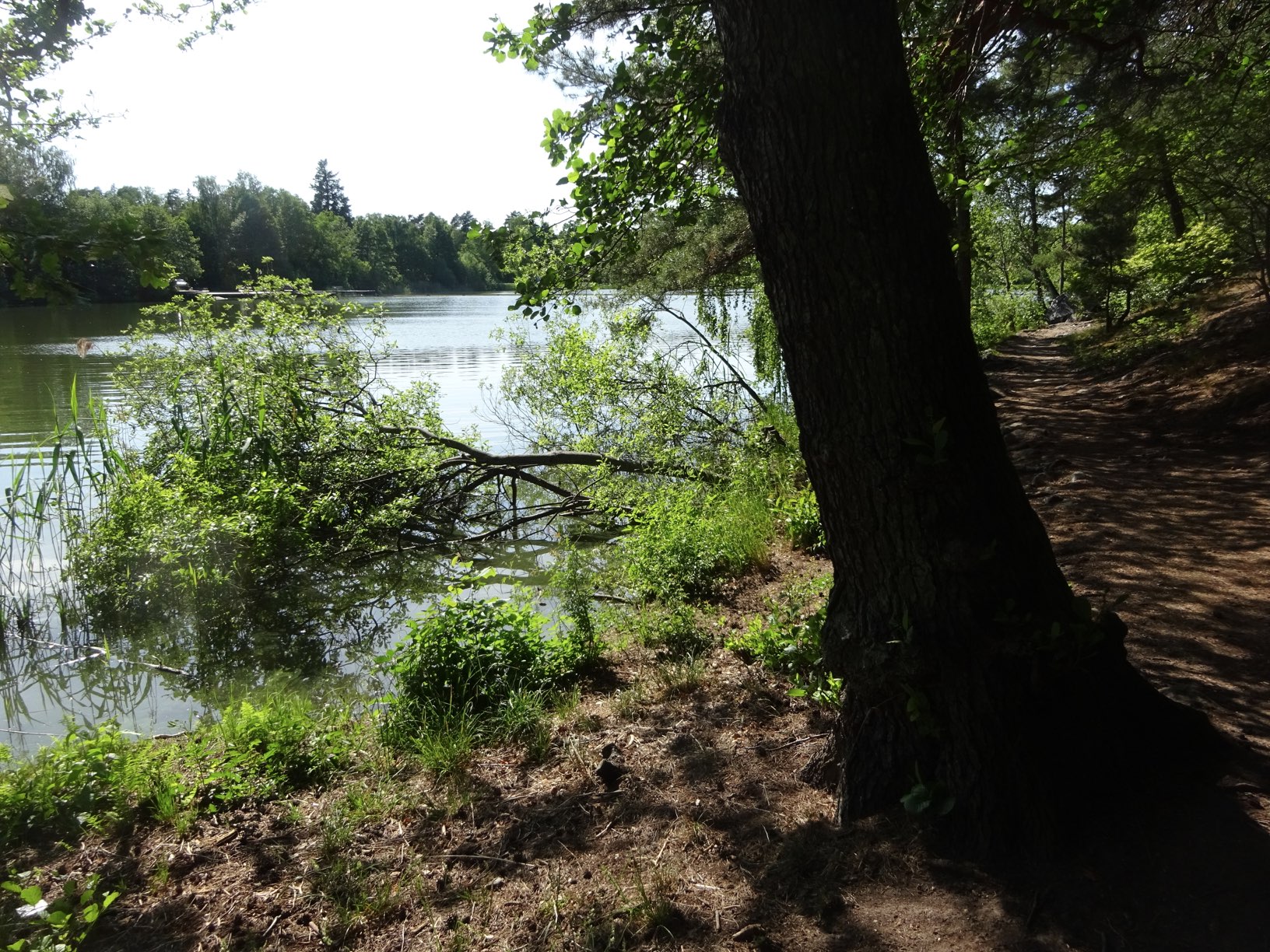DSC02785.JPG