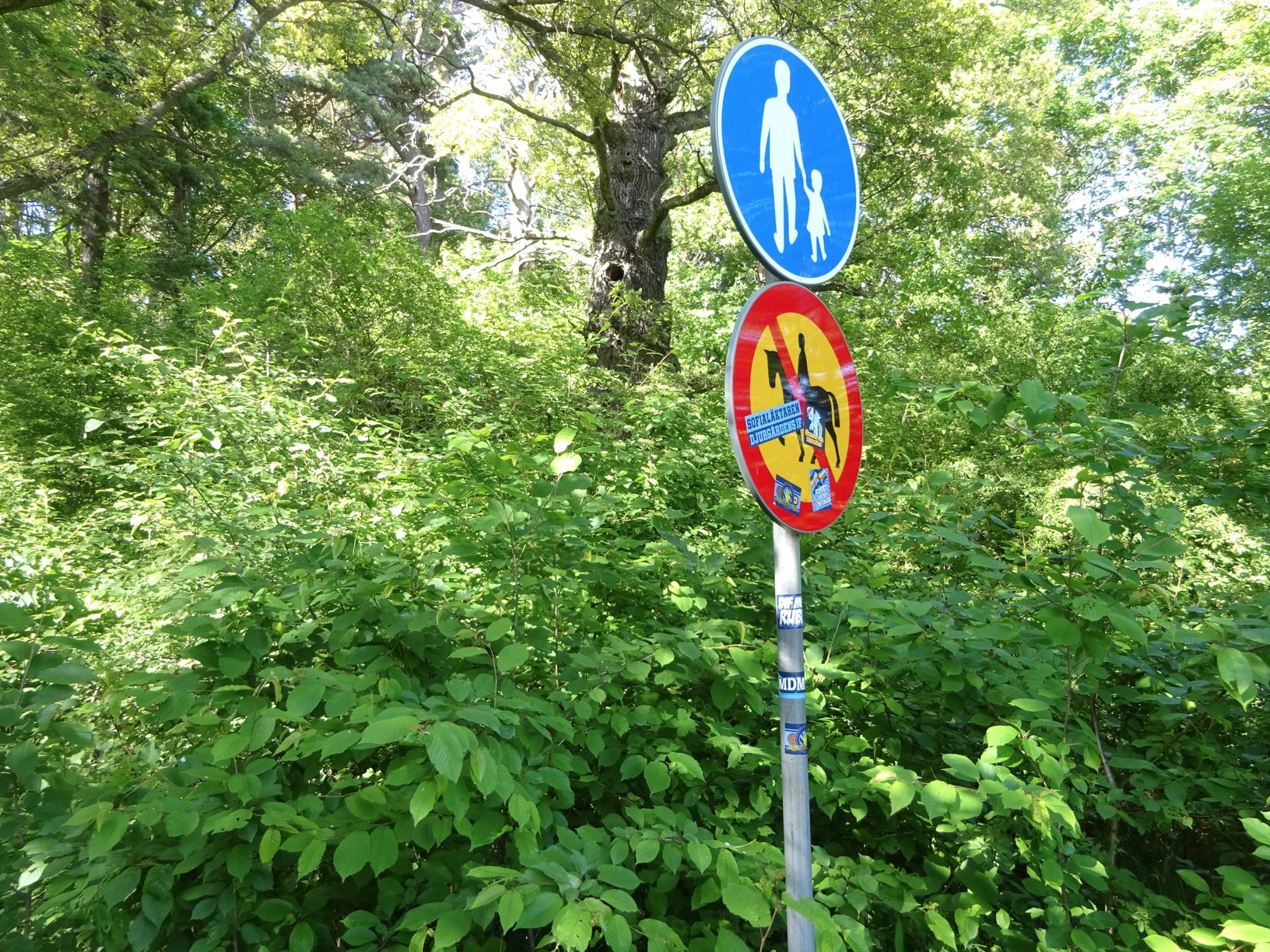 DSC02787.JPG