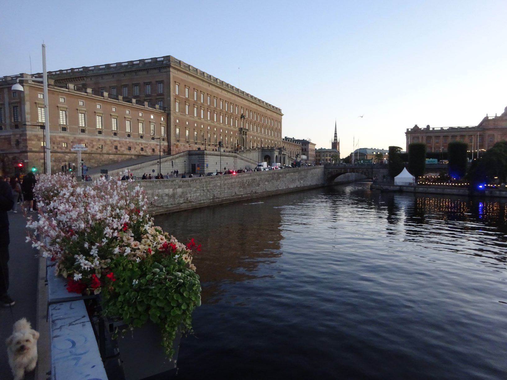 DSC06666.JPG