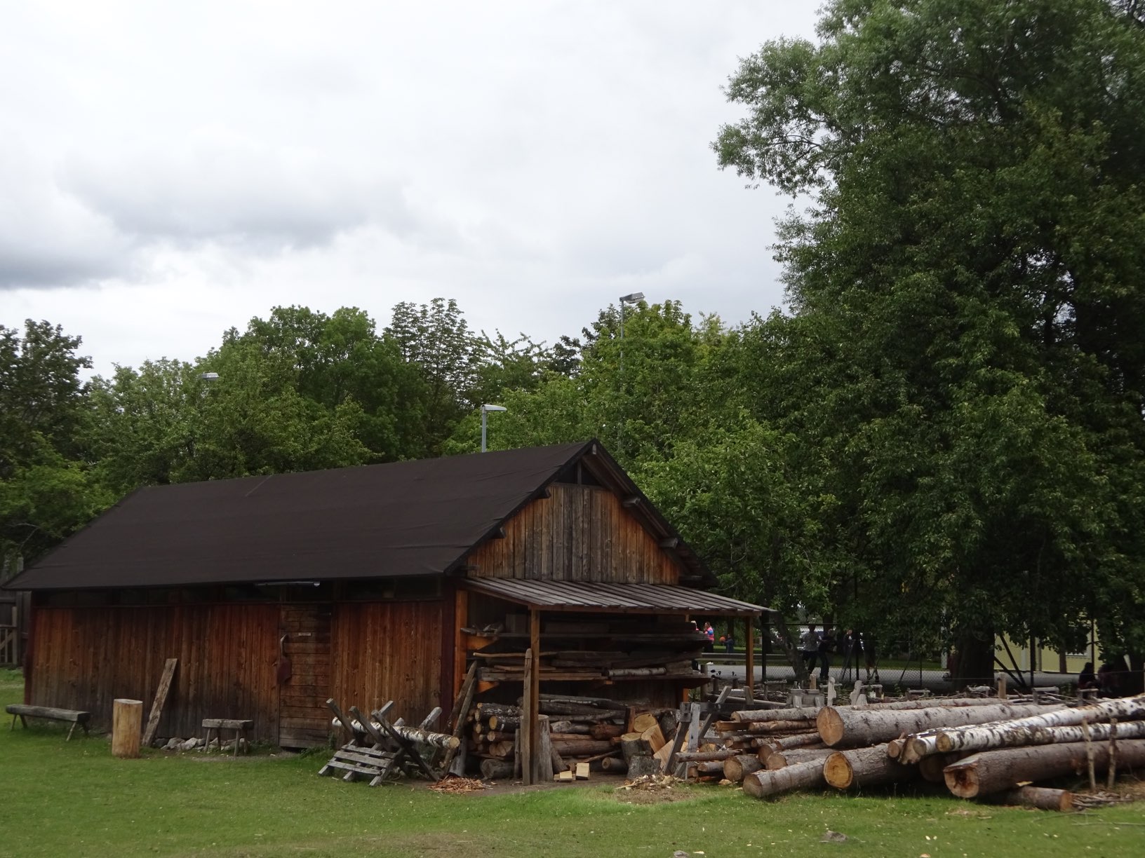 DSC07036.JPG