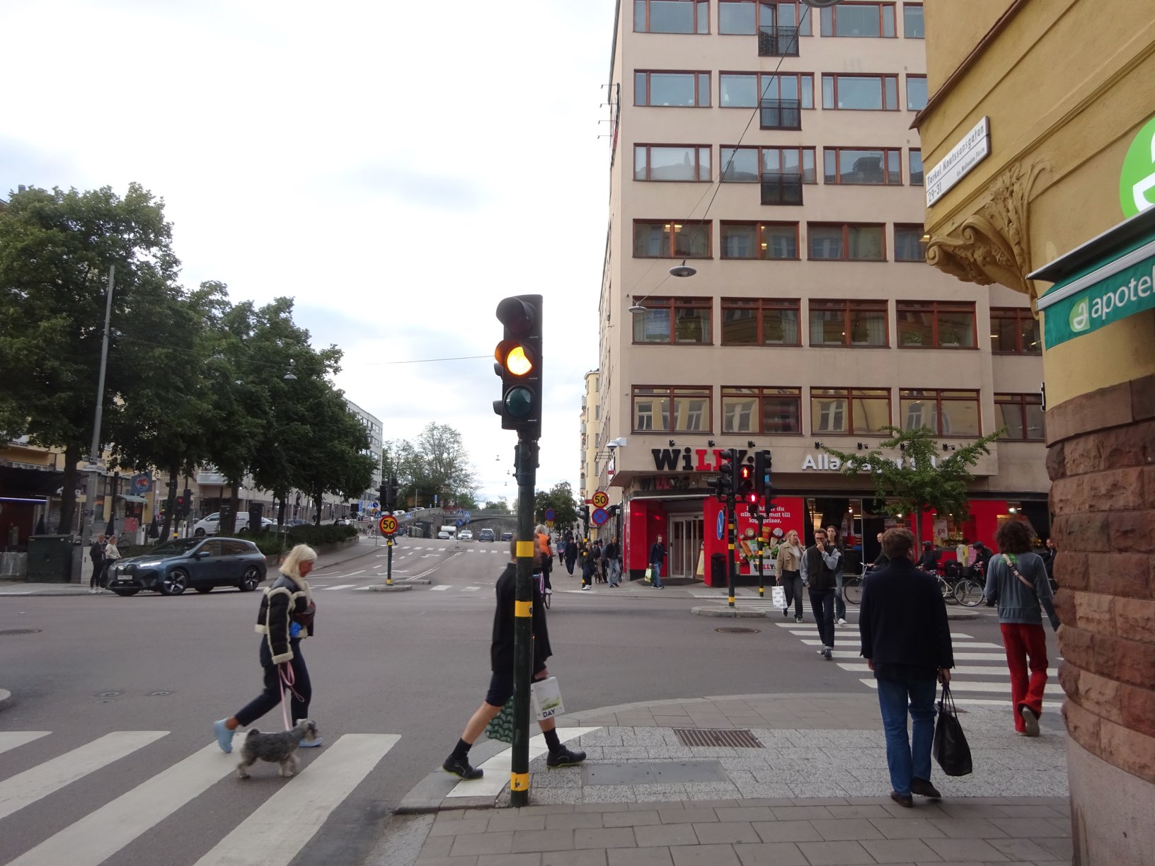 DSC07296.JPG