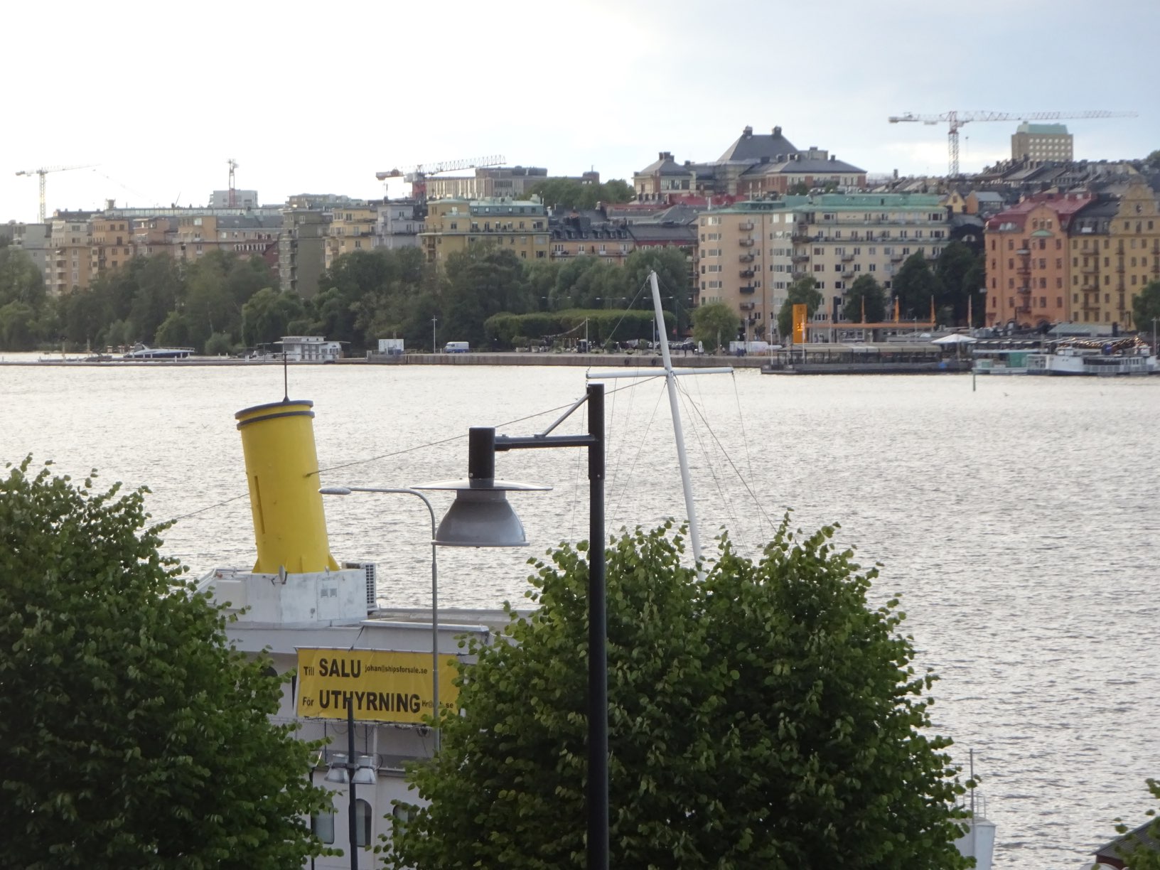 DSC07345.JPG
