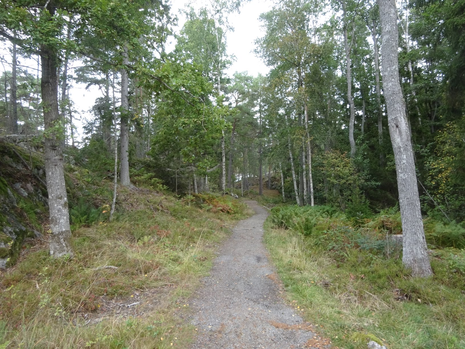 DSC08514.JPG