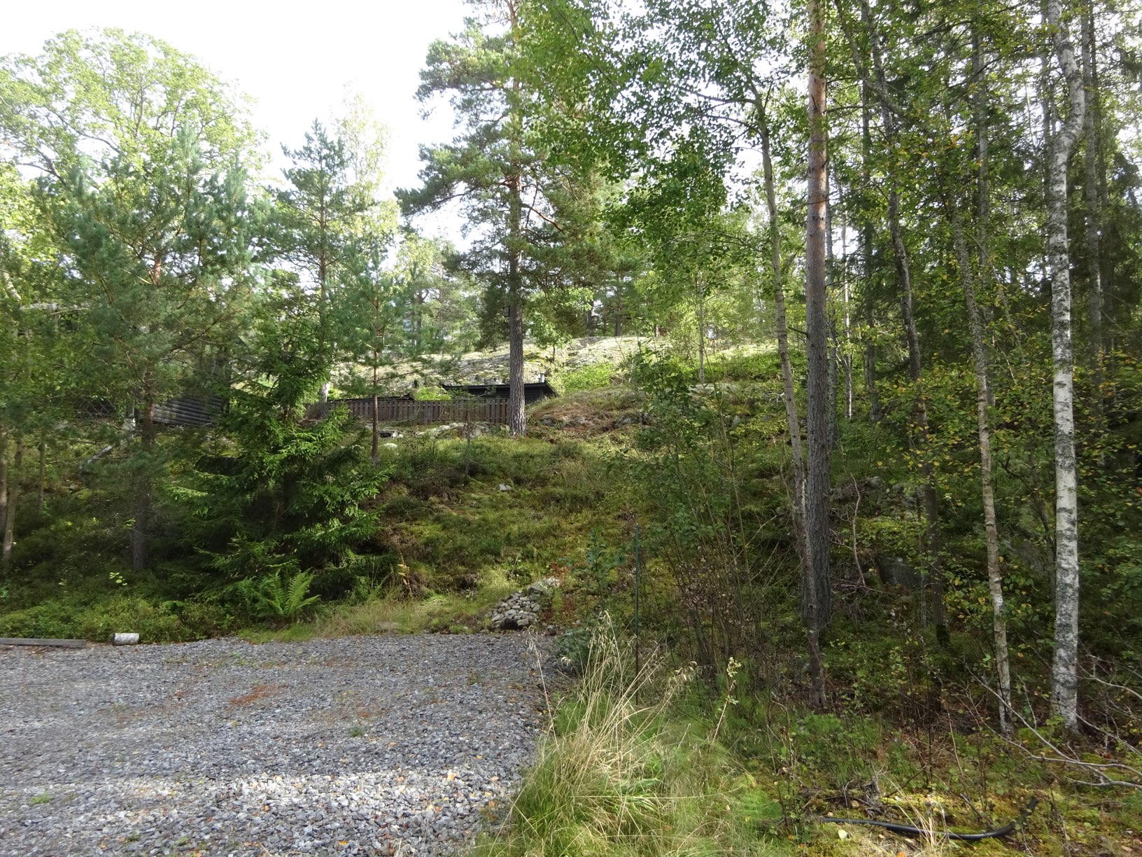 DSC08523.JPG