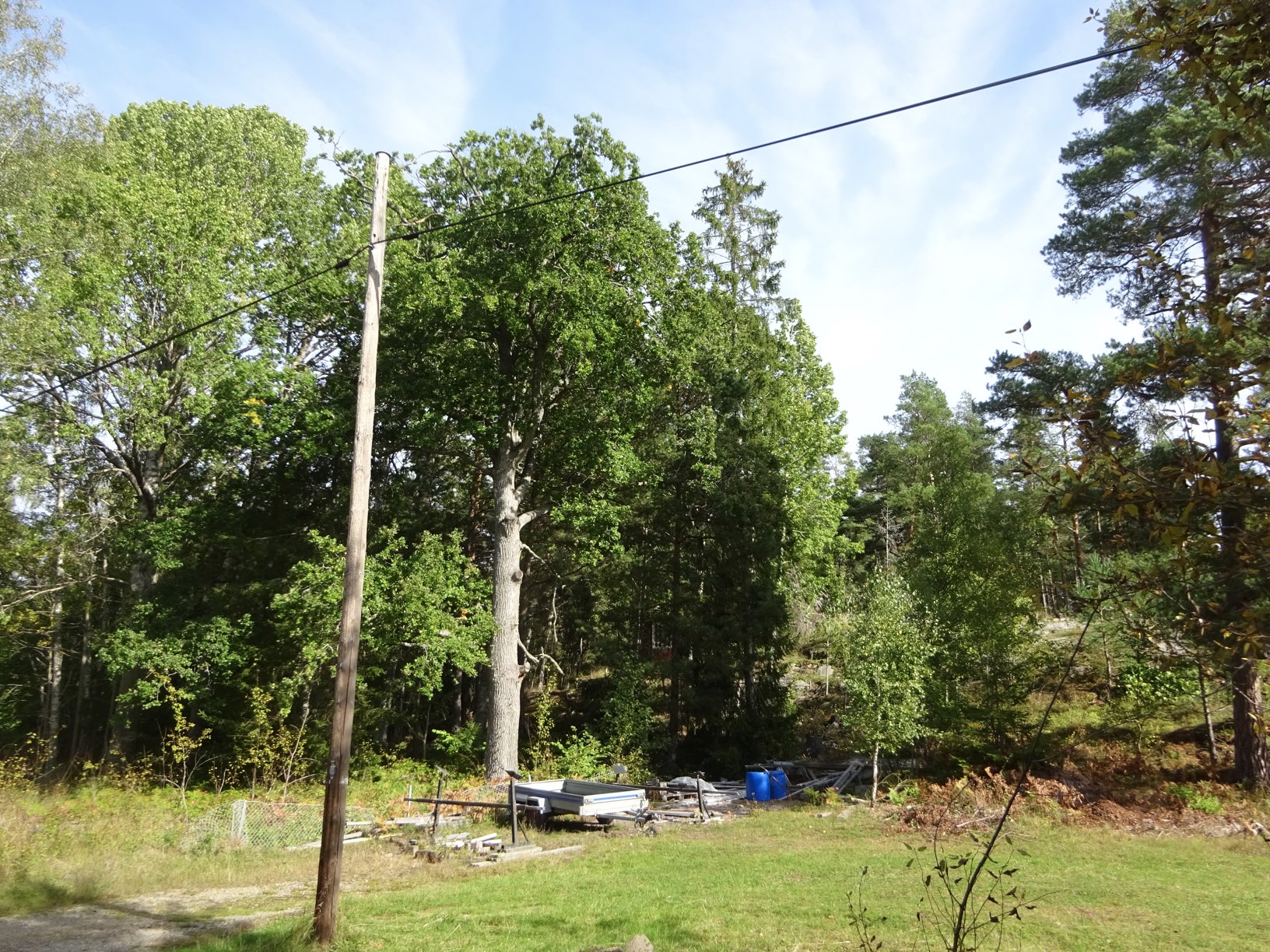 DSC08538.JPG