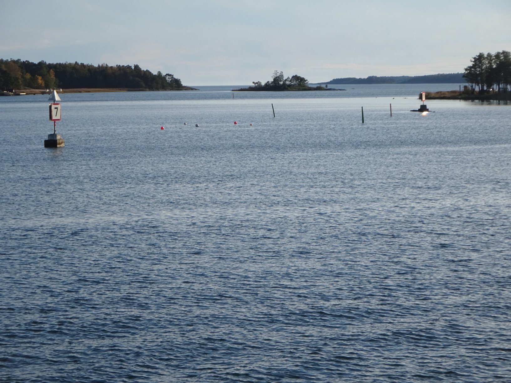 DSC09236.JPG