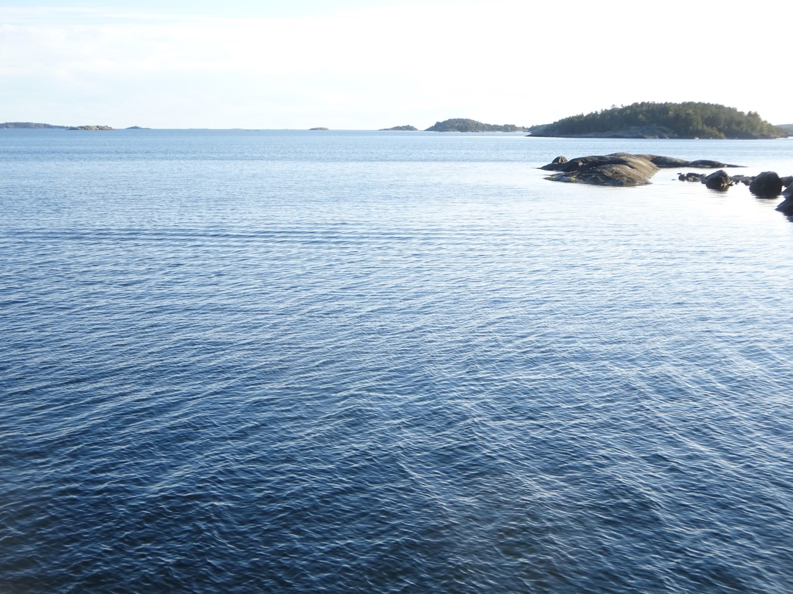 DSC09276.JPG