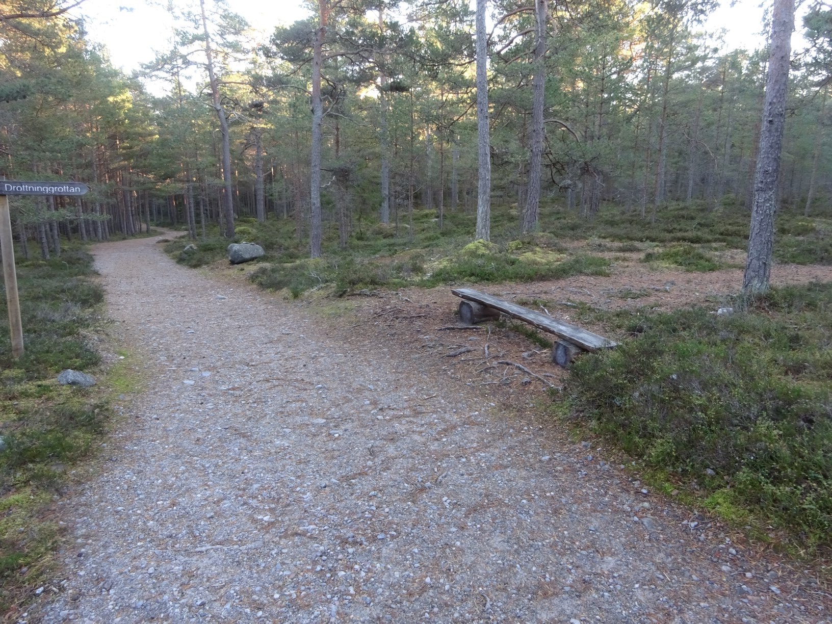 DSC09363.JPG