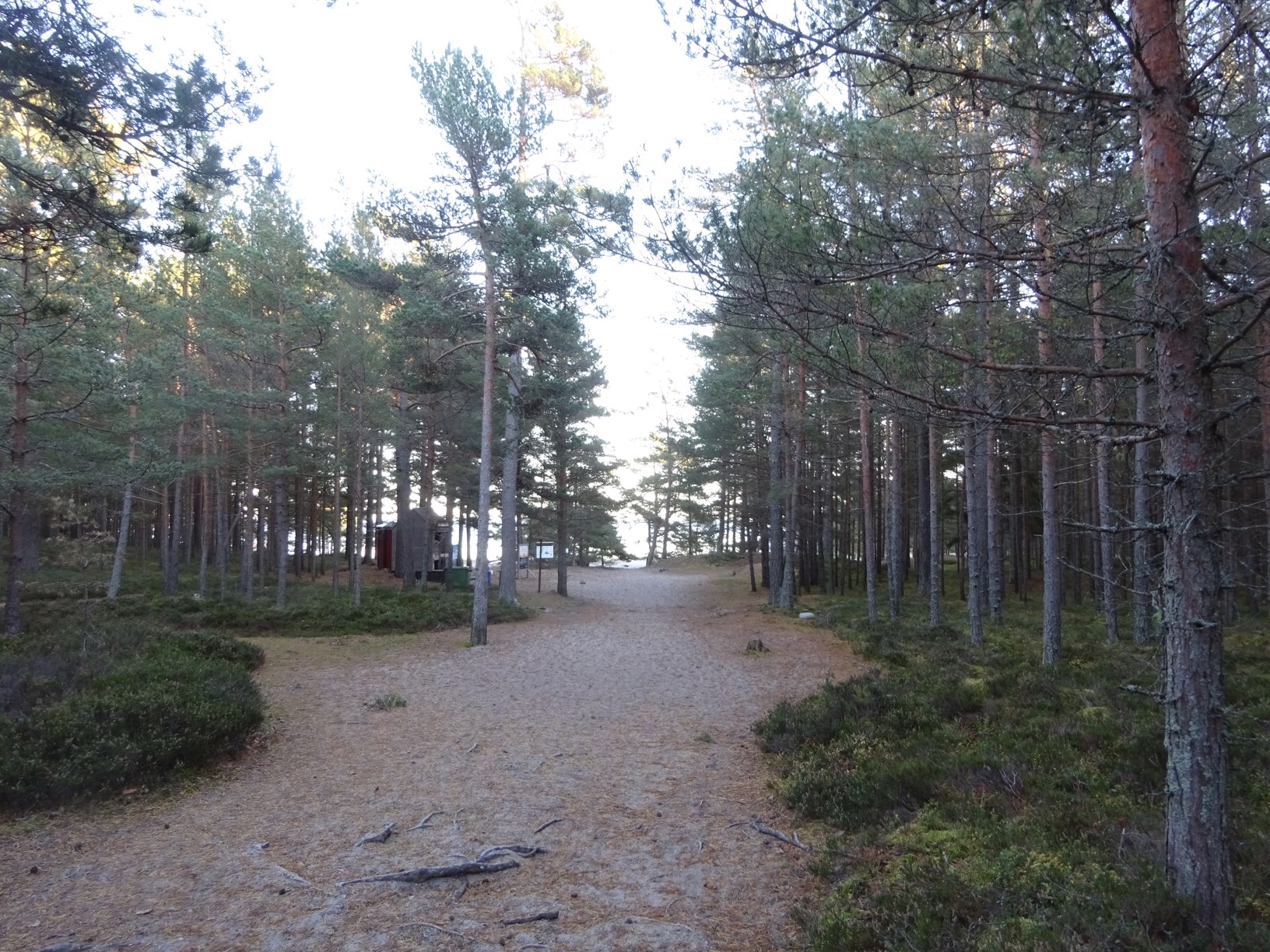 DSC09364.JPG