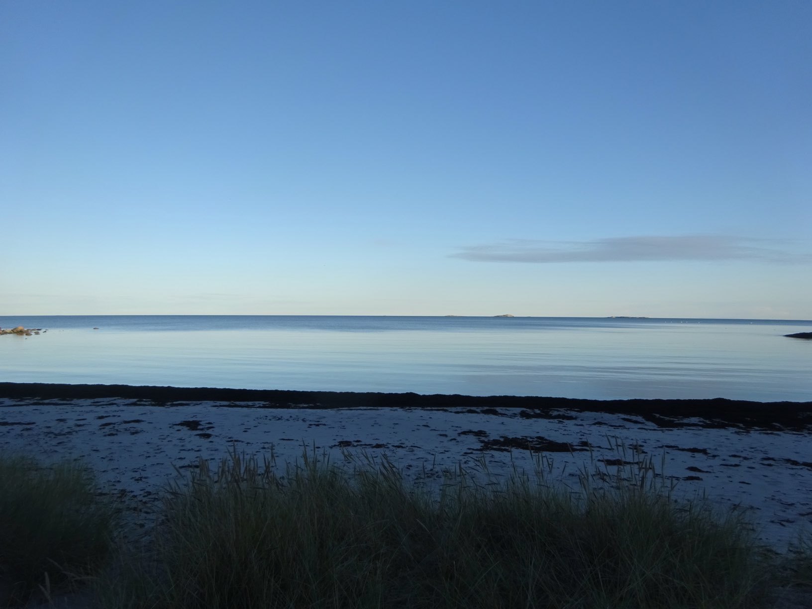 DSC09379.JPG