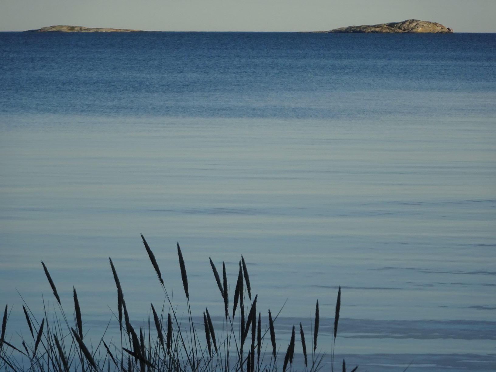 DSC09396.JPG