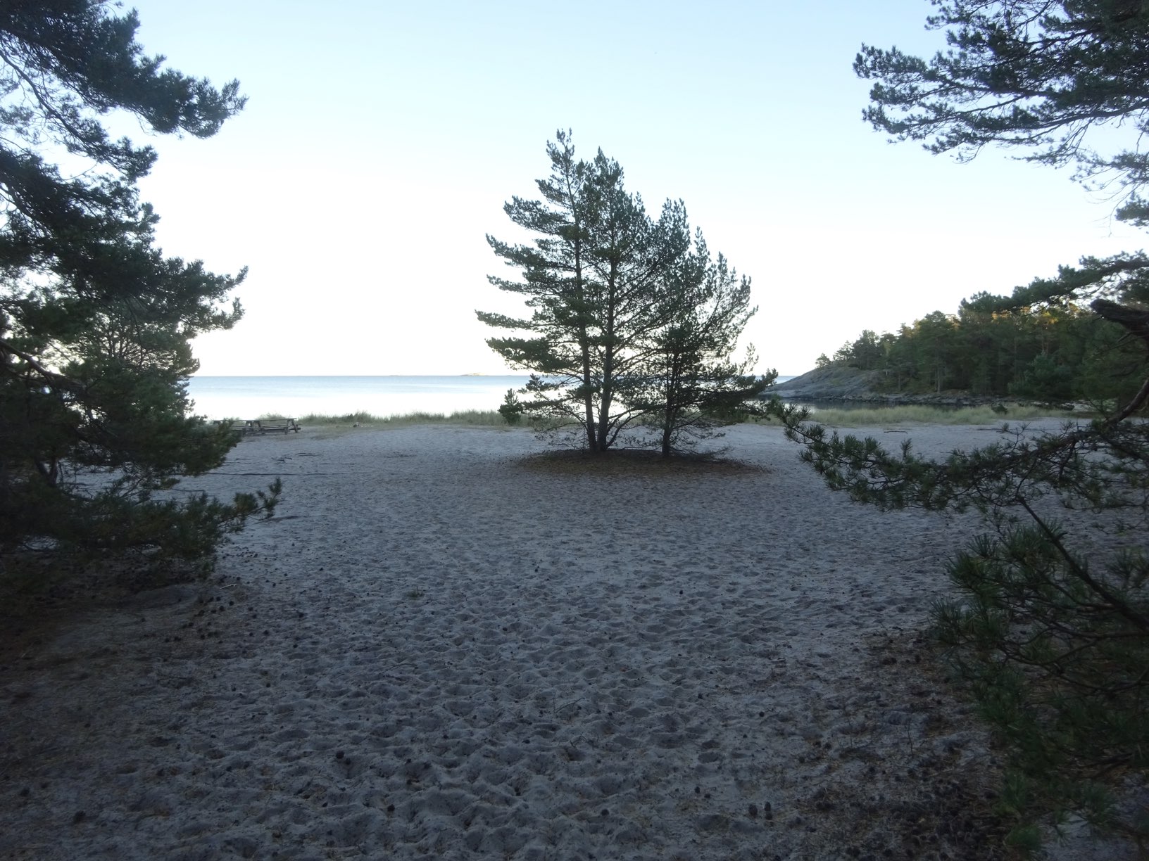 DSC09408.JPG