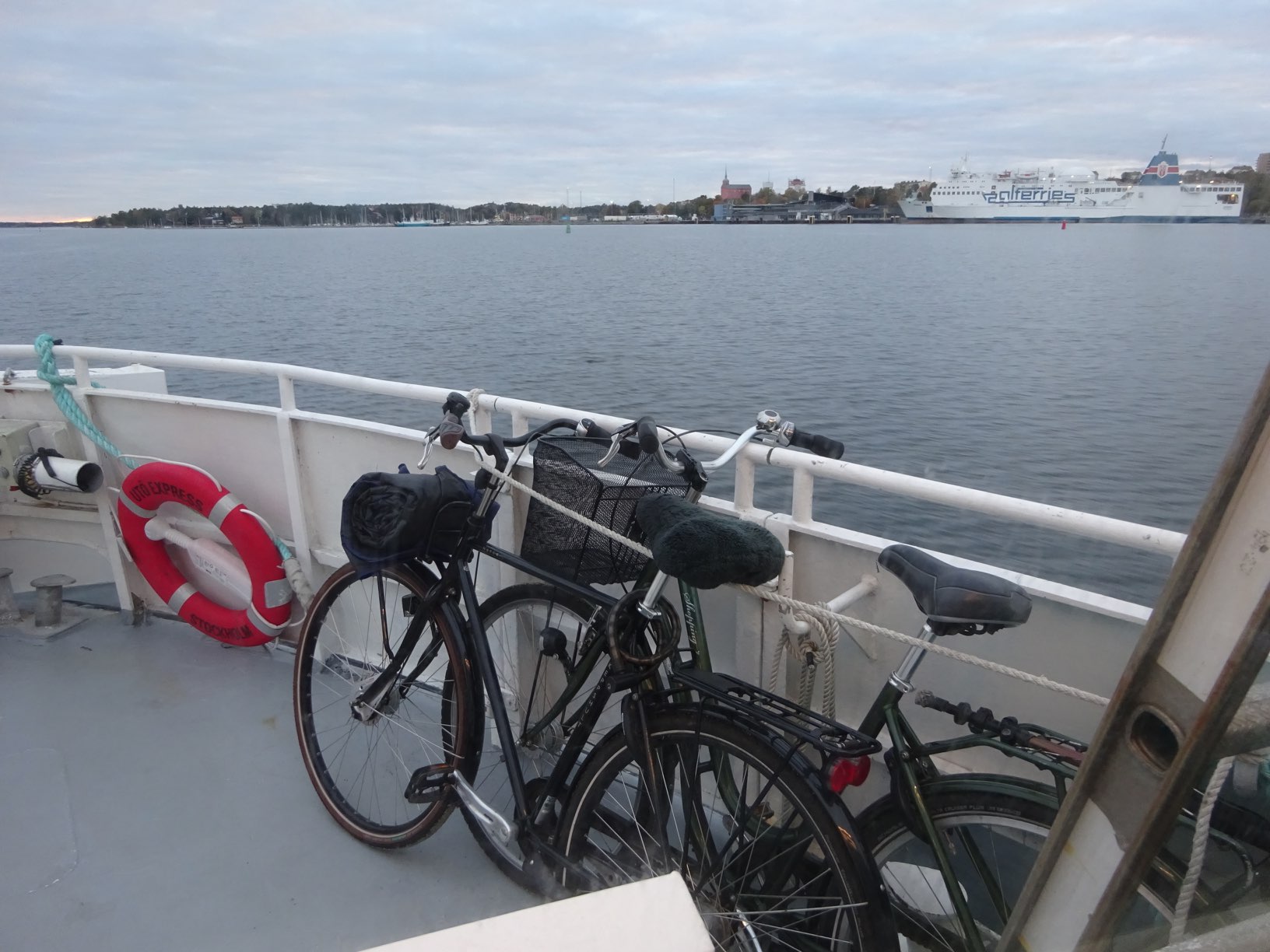 DSC09541.JPG