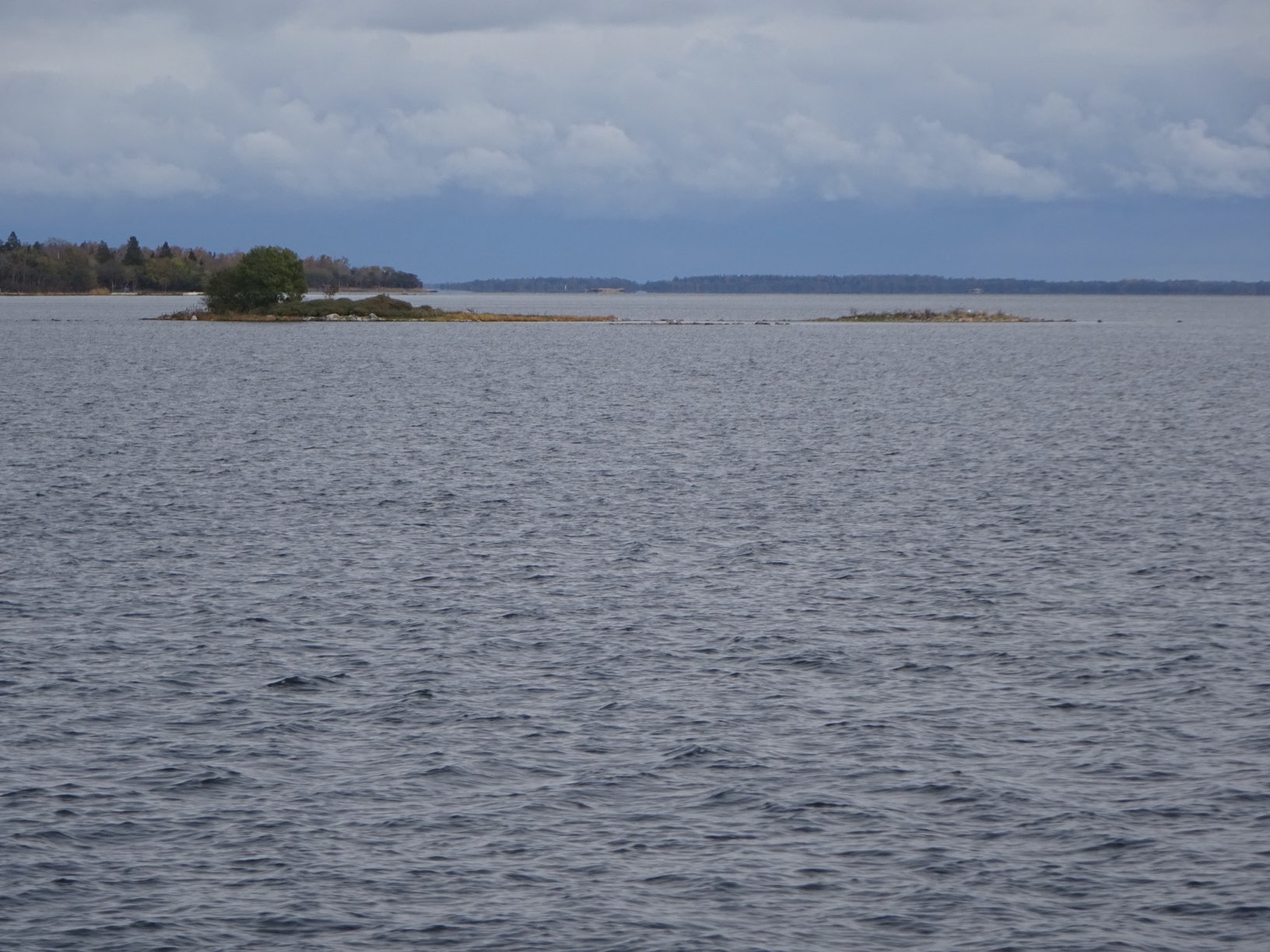 DSC09638.JPG