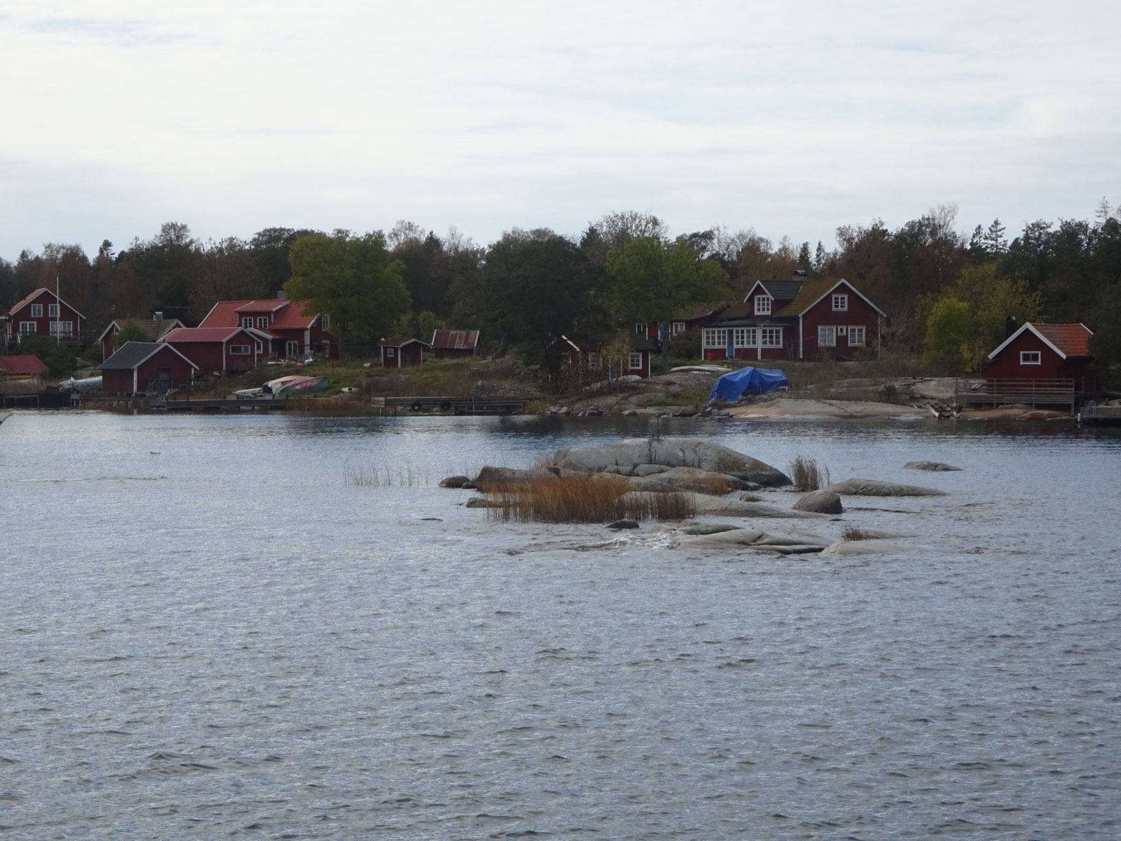 DSC09740.JPG