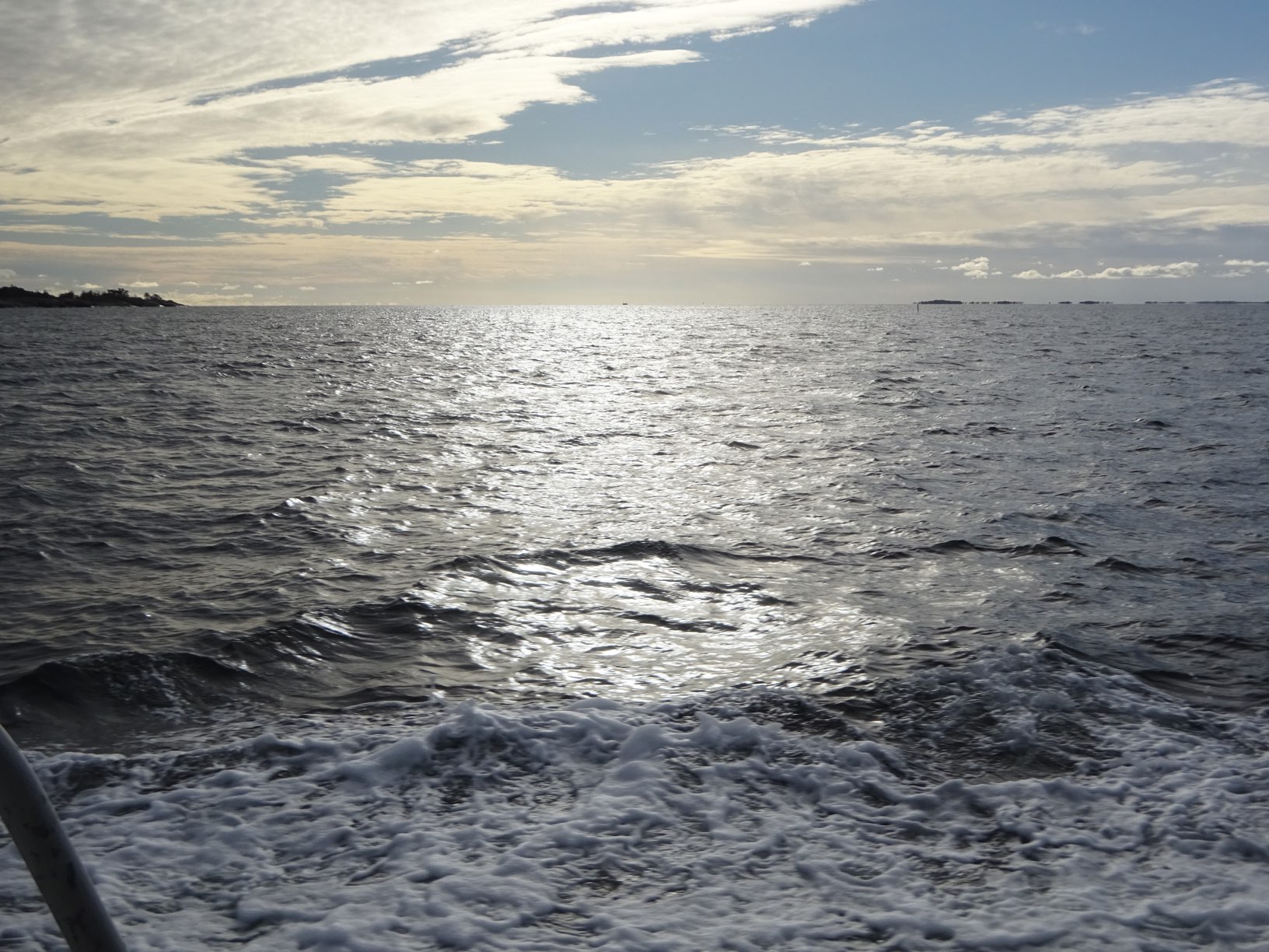 DSC09787.JPG