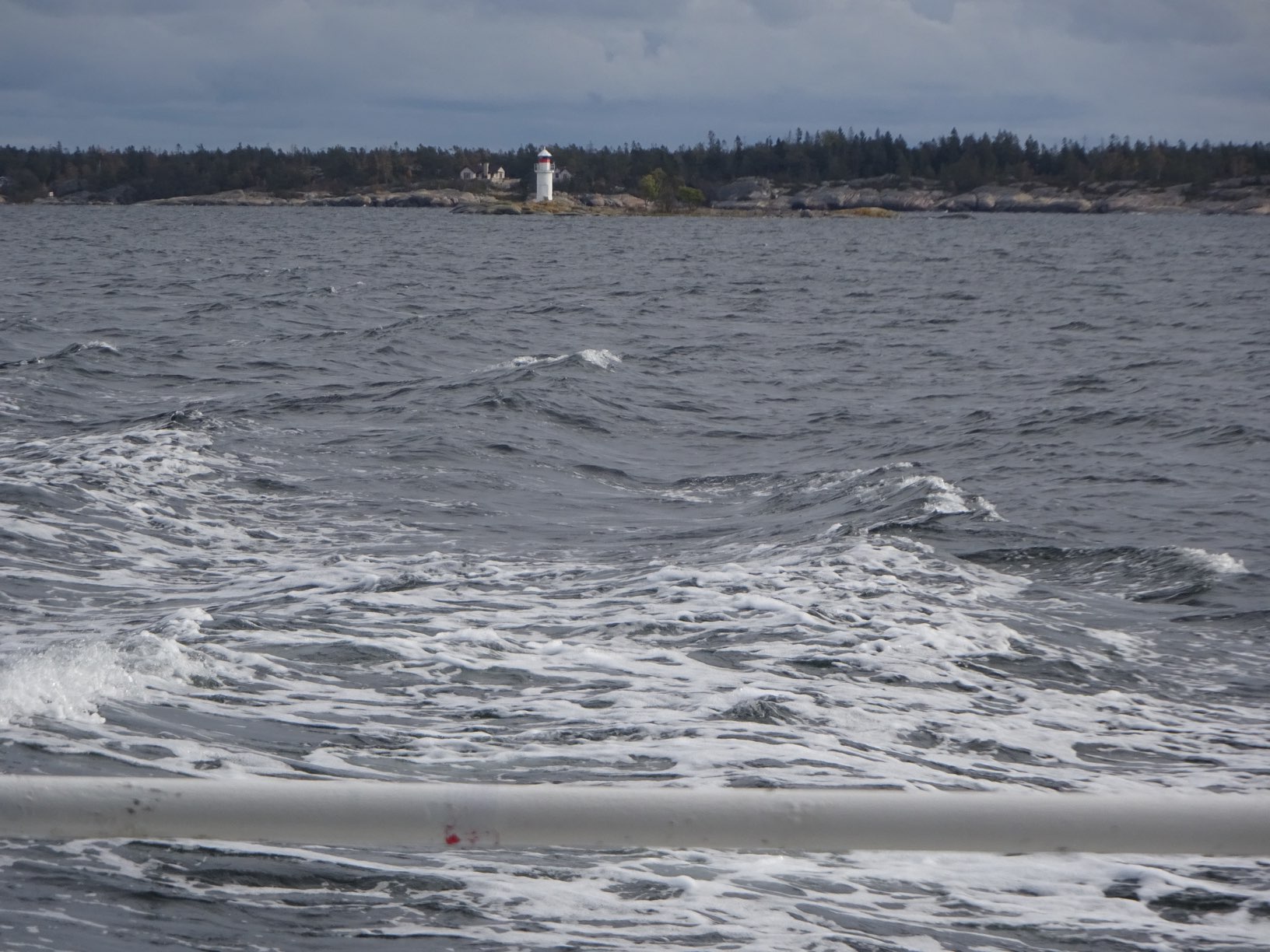 DSC09815kl1317.JPG