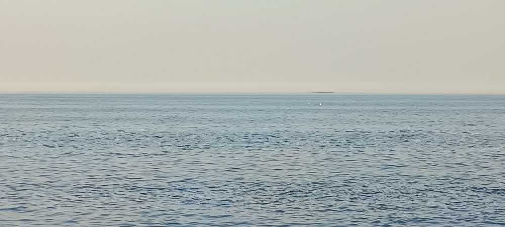 IMG_20260714_202805.jpg