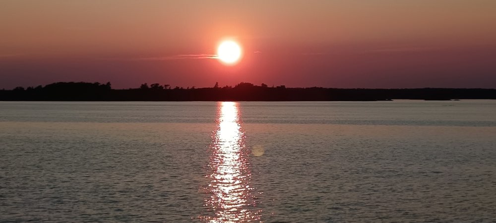IMG_20260714_212048.jpg