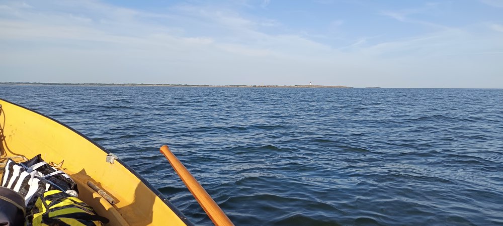 IMG_20260715_175323.jpg
