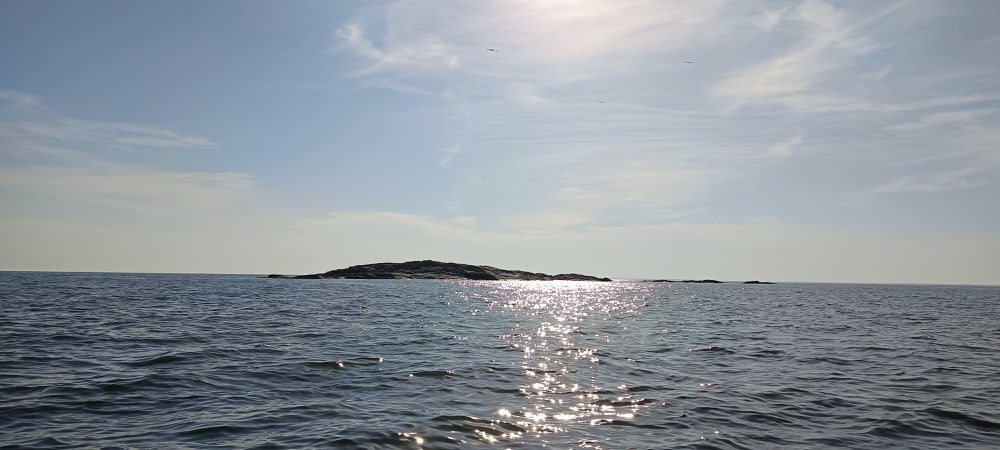 IMG_20260715_175409.jpg