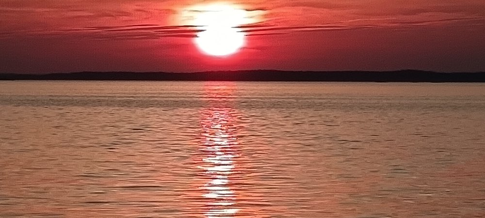 IMG_20260715_213318.jpg