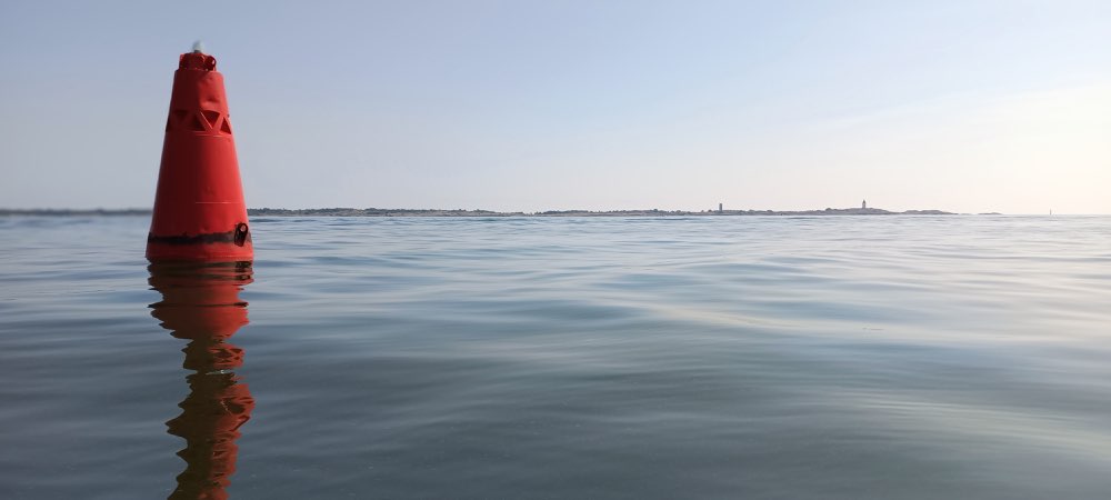 IMG_20260716_114158.jpg