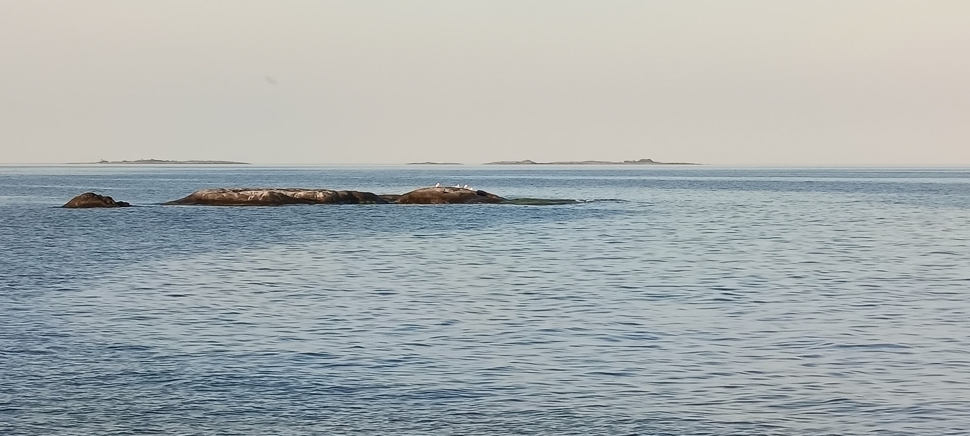IMG_20260714_202738.jpg