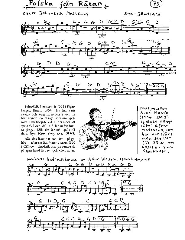 075 ratanpolska.pdf