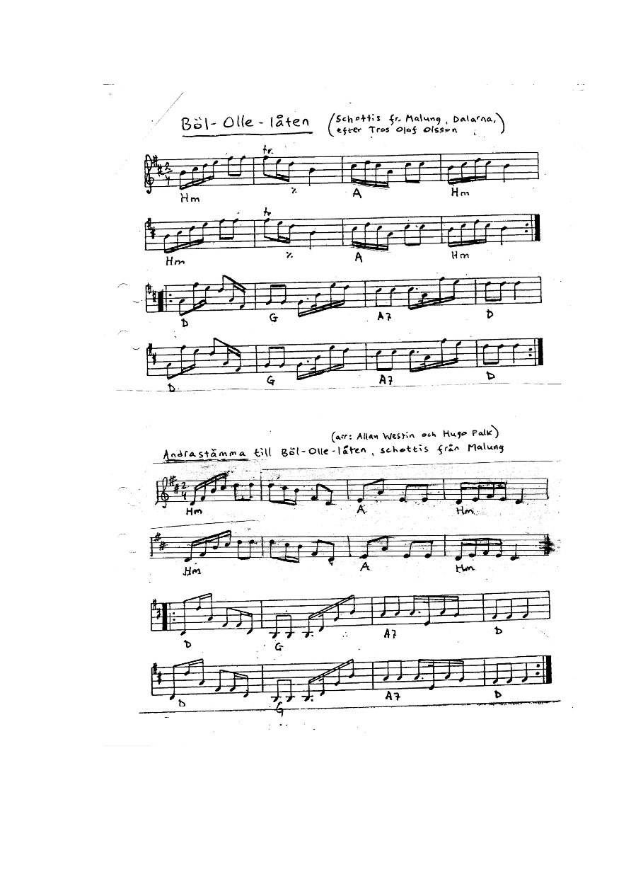 305 bololle.pdf